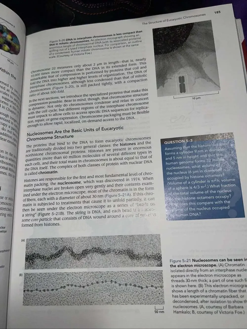Essential Cell Biology 3rd Edition (2010) - Hardcover